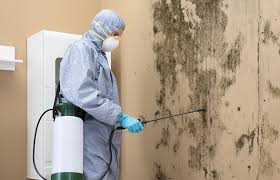 Biohazard Mold Removal